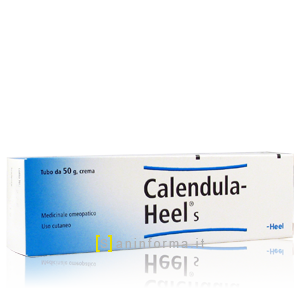 Calendula Heel S