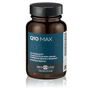 Bios Line Principium Q10 Max