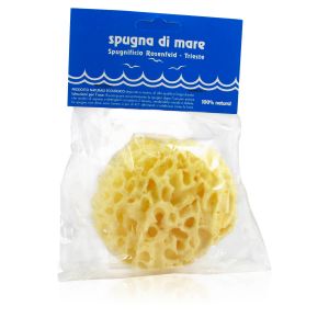 Spugna di Mare n.12
