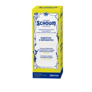 951044421 Soluzione Schoum Advance