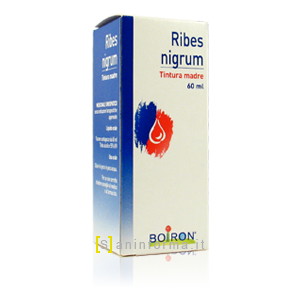 Ribes Nigrum Tintura Madre