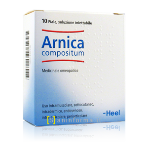 Arnica Compositum Heel Fiale