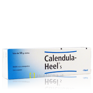 Calendula Heel S