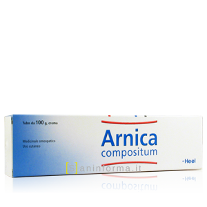Arnica Compositum Heel Crema 100 gr
