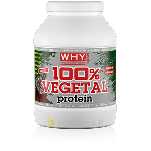 Why Sport 100% Vegetal Protein Gusto Cacao