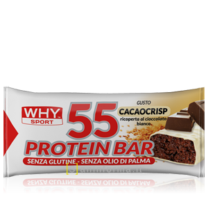 Why Sport 55 Protein Bar Gusto Cacaocrisp