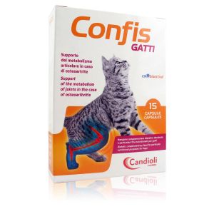 Confis Gatti