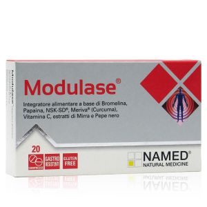 Modulase Integratore